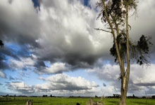 壹号娱乐：两年前的今天哈兰德欧冠上演五子登科，球员转发自己当时社媒.