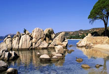 曼联球迷团体&FC联曼官方：将在周末举行抗议格雷泽活动.